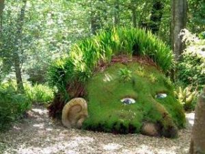 A resident at the beautiful Lost Gardens of Heligan.